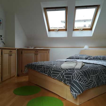 Apartma Flajban Appartement Kojsko Buitenkant foto