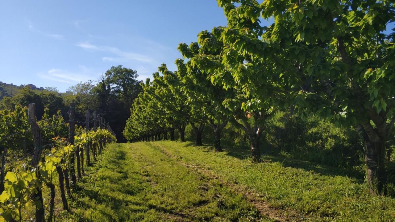 Apartma Flajban Appartement Kojsko Buitenkant foto