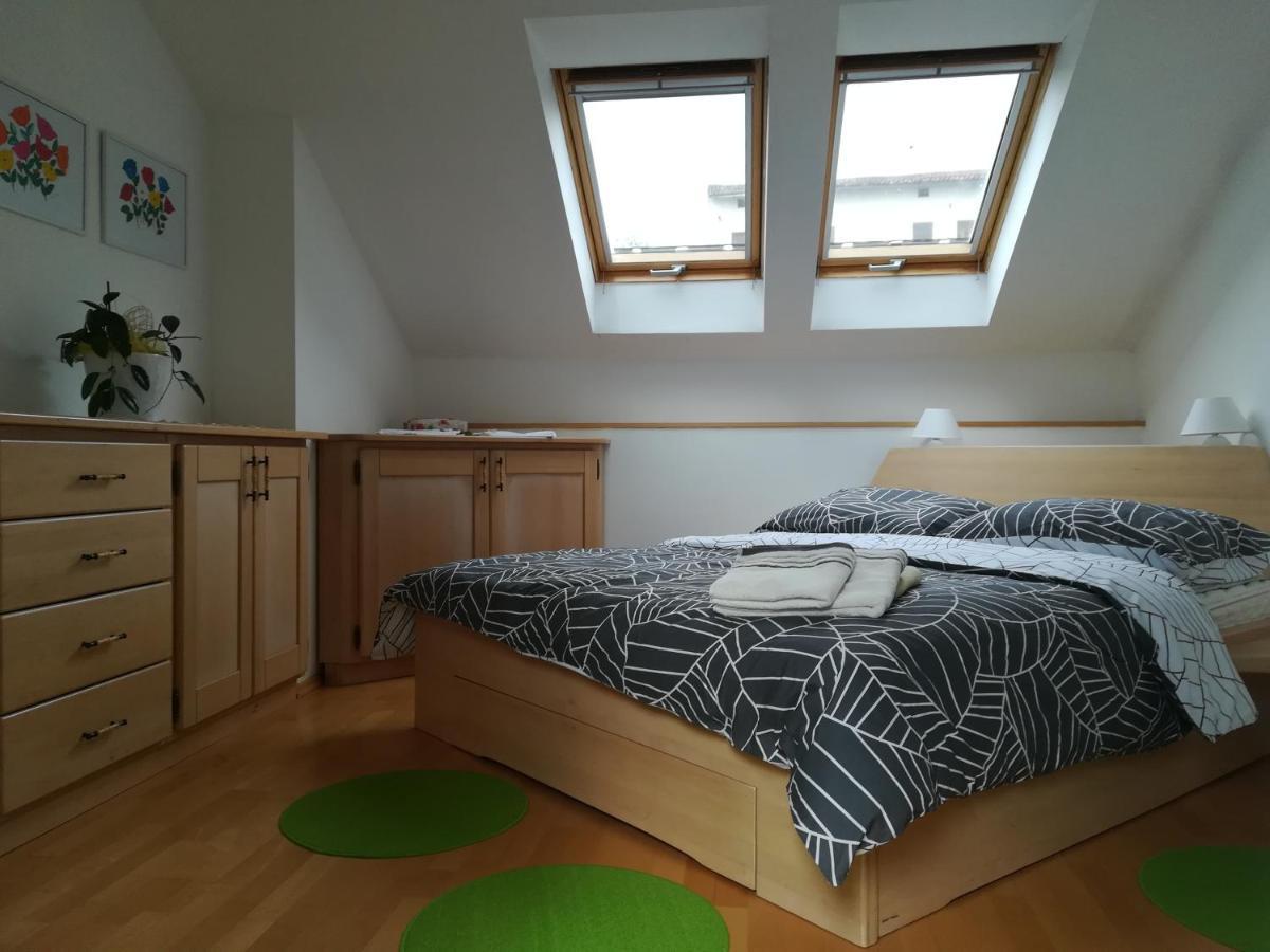 Apartma Flajban Appartement Kojsko Buitenkant foto